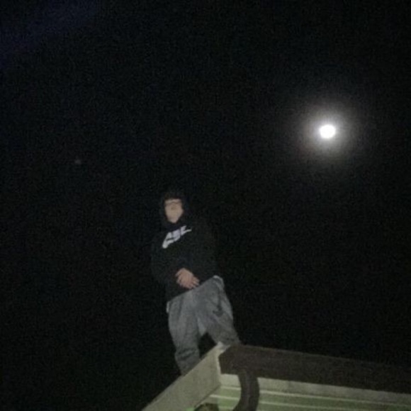 Meet your Posher, Jayden - Picture 1 of 1